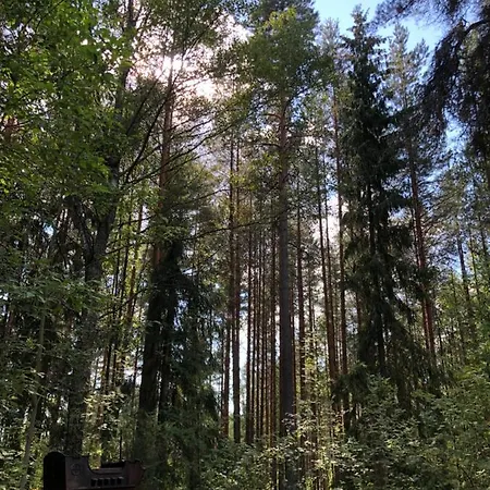 Unien Koti * Mattila
